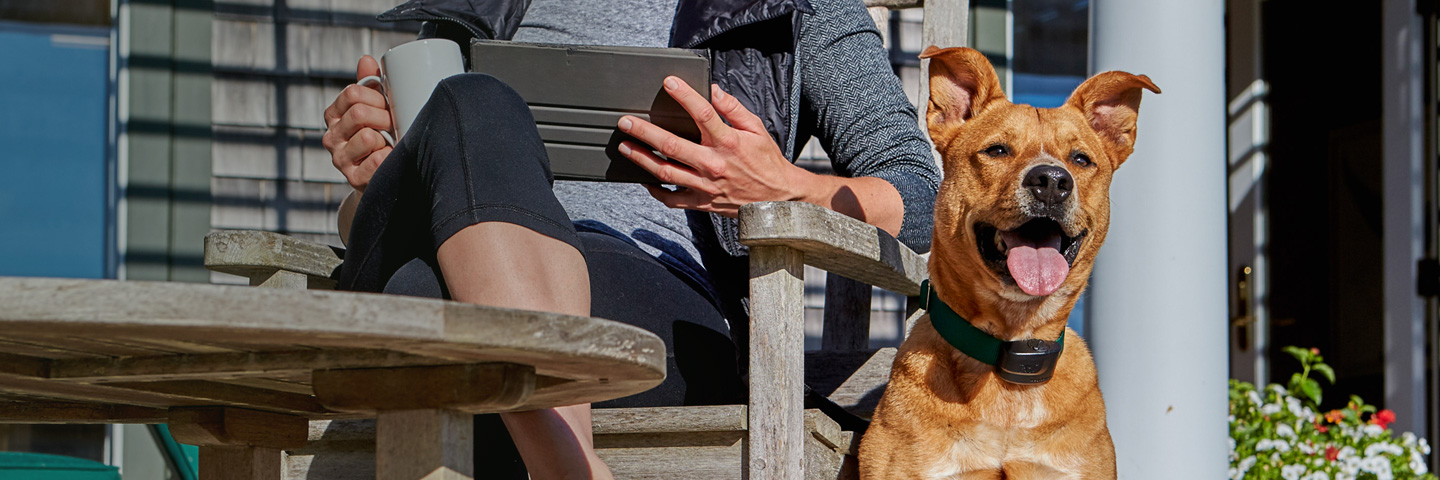 DogWatch of Springfield, Springfield, Illinois | ProFence Slider Image