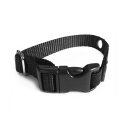 Cat replacement collar strap  Image